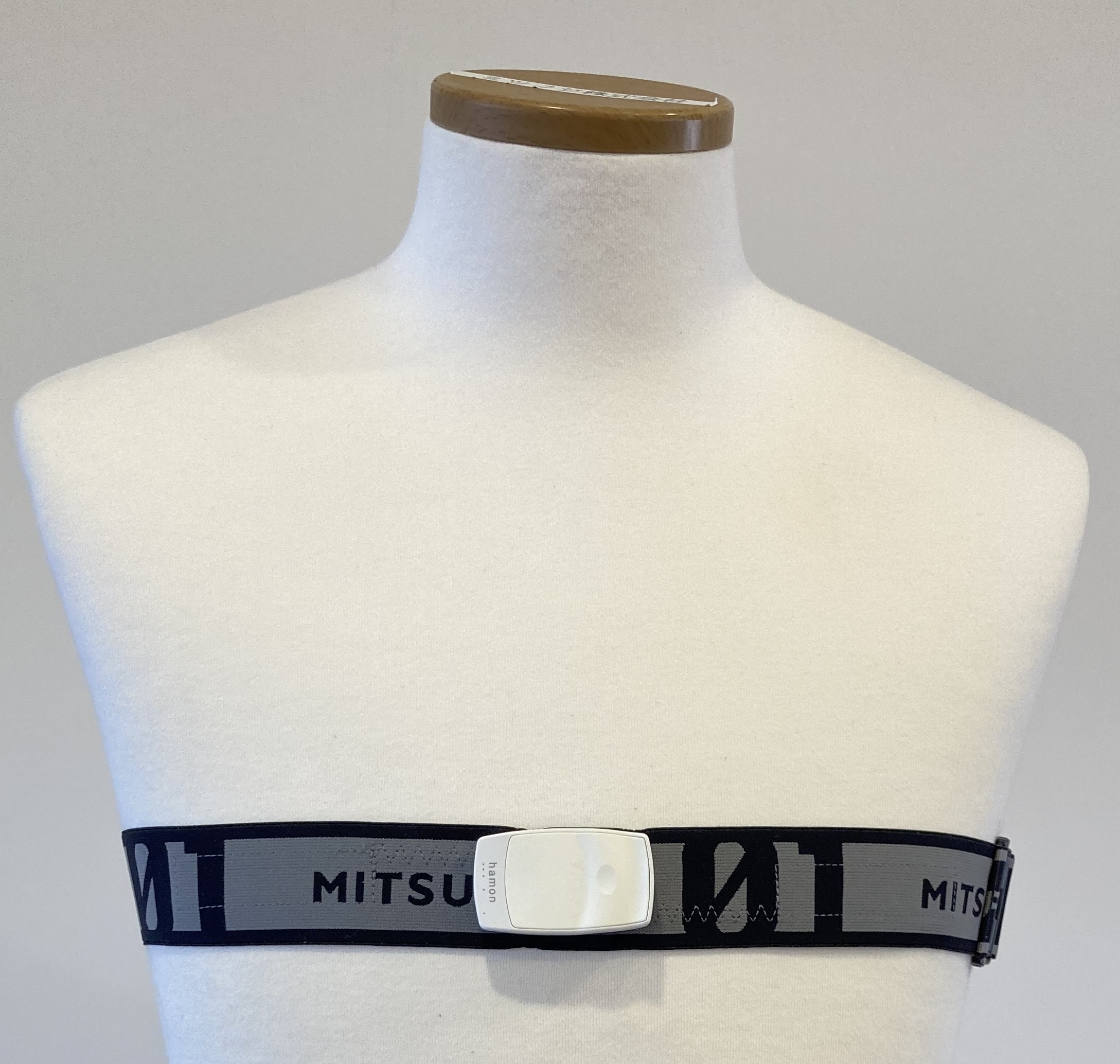 <div class='lum-box'><h4 class='fontColor_blue lum-font-size'>MITSUFUJI 01</h4></div><div class='lum-font-cnt'>世界初、体動ノイズを大幅に減少させる胸ベルト型ウェアラブルセンサー
最先端センシング技術は「治療」から「予防」へ</div>