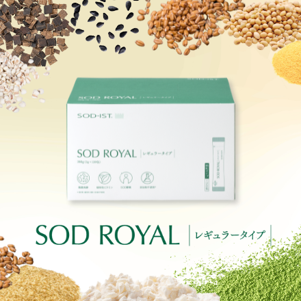 <div class='lum-box'><h4 class='fontColor_blue lum-font-size'>SODROYAL　レギュラー・マイルド</h4></div><div class='lum-font-cnt'>11種類の植物性食物を使用し、これらを体内へスムーズに消化吸収できるよう
遠赤外線焙煎・発酵・油剤化を施した健康食品です。
この製法は国際製法特許を取得しております。</div>