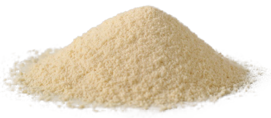 <div class='lum-box'><h4 class='fontColor_blue lum-font-size'>乳酸菌素材（殺菌体）FK-23</h4></div><div class='lum-font-cnt'>サプリメントはもちろん、ドリンクやグミ、パン、ペットーフード等、さまざまな製品への配合実績がある乳酸菌素材です。感染防御や慢性腎臓病進行抑制などの研究データがあります。</div>