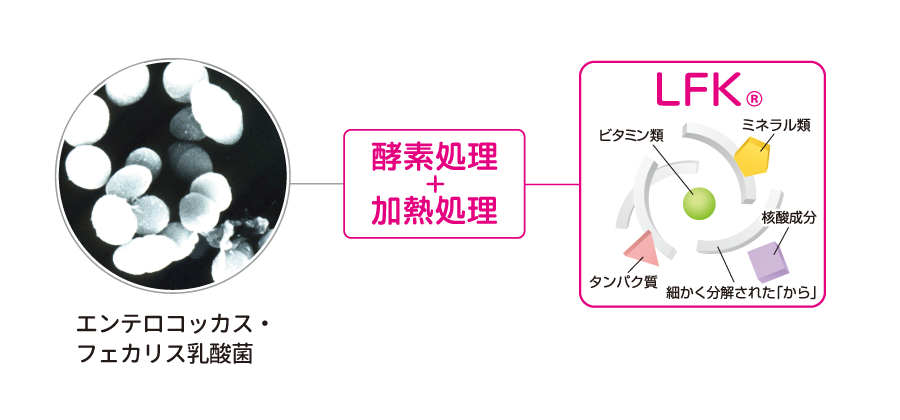 <div class='lum-box'><h4 class='fontColor_blue lum-font-size'>乳酸菌素材（殺菌体）LFK</h4></div><div class='lum-font-cnt'>サプリメントはもちろん、ドリンクやグミ、パン、ペットーフード等、さまざまな製品への配合実績がある乳酸菌素材です。※原料の一部に「卵」を含みます。</div>