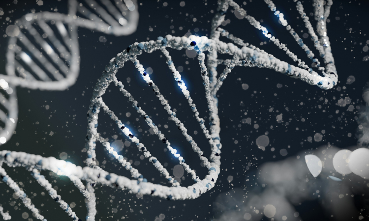 <div class='lum-box'><h4 class='fontColor_blue lum-font-size'>Outcome Development Service (Nutrigenomics Service)</h4></div>
        		 <div class='lum-font-cnt'>We provide a nutrigenomics service that comprehensively evaluates the cellular effects of your food ingredients using omics analyses. Our experts handle all processes-from sample pretreatment to data analysis, and interpretation-and, when necessary, we also offer extensive support including cell-based assays, manuscript preparation, conference presentations and clinical trial assistance.</div>