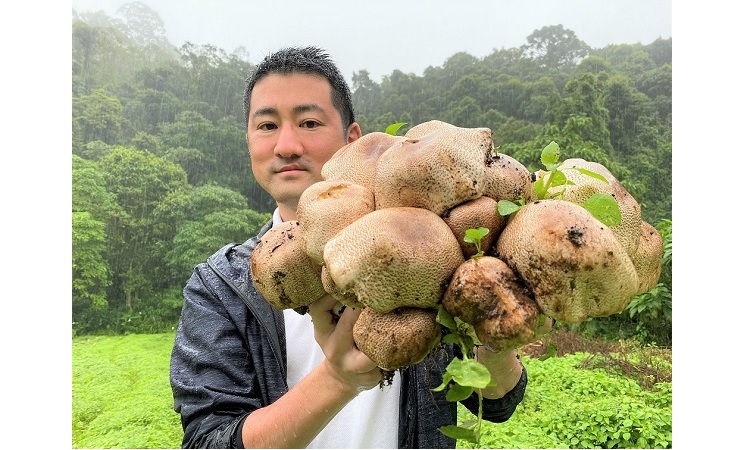 <div class='lum-box'><h4 class='fontColor_blue lum-font-size'>Supplement Ingredient for Akkermansia Growth & Gut Barrier Function</h4></div>
        	 <div class='lum-font-cnt'>We introduce King Agaricus KA21, a medicinal mushroom shown to promote the growth of Akkermansia muciniphila and improve gut health, including prevention of intestinal fungal overgrowth and enhancement of gut barrier function.
It has been adopted by medical institutions and has a proven track record in international markets.
Small-lot OEM production and ingredient supply are available (some restrictions apply).</div>